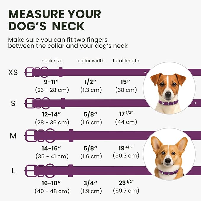 BRONZEDOG Rolled Leather Dog Collar for Small Medium Large Dogs with QR ID Tag (S: 12-14 Inch, Plum)