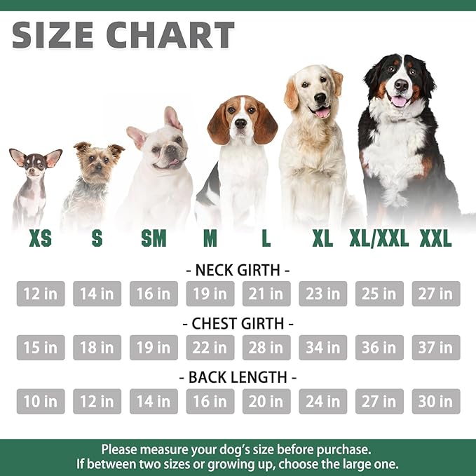 KOOLTAIL Basic Dog Hoodie - Soft & Warm Pet Hoodie Sweater with Leash Hole and Pocket, Dog Winter Coat, Cold Weather Clothes Sweatshirt for Small Medium Large Dogs Puppy Cat Boys Girls Deep Green XS
