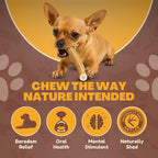 WhiteTail Naturals - Antlers for Small Dogs (6 Pack) Deer Antler Dog Chew Bones for Small Aggressive Chewers - Long Lasting Horn Chew Toys - Naturally Shed