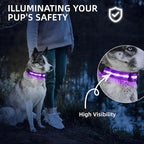 Super Bright LED Dog Collar - Fully Waterproof & Adjustable Glow Collar - USB-C Rechargeable for Night Walking, Safety - Flashing Lighted Collar for Dogs(Purple,Large)