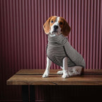 ROZKITCH Dog Winter Coat Soft Pullover Pajamas, Stripe Pet Windproof Warm Cold Weather Jacket Vest Cozy Jumpsuit Apparel Outfit Clothes for Walking Hiking Travel Sleep Stripe M