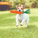 LIFILX Carrot Dog Rope Toy, Tug of War Dog Toy, Cute Puppy Toy with Crinkle Paper Tags