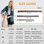 Studded Leather Dog Collar – Durable Adjustable Collar, Brown Medium