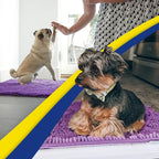 Muddy Mat® AS-SEEN-ON-TV Highly Absorbent Microfiber Door Mat and Pet Rug, Non Slip Thick Washable Area and Bath Mat Soft Chenille for Kitchen Bathroom Bedroom Indoor and Outdoor - Purple 24" x 96"