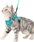 Cat Harness and Leash Set Escape Proof Tactical Medium Kitten Harness Emotional Support Cat Vest, Turquoise, M