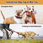 2PCS Premium Durable Rope Toys for Aggressive Chewers, Dog Tug of War Toys for Medium/Large Dogs, Glow in The Dark Outdoor Dog Fetch Toy, Interactive Dog Toy, Keep Your Powerful Chewers Busy