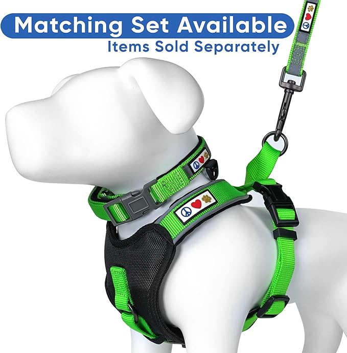 Pawtitas 6 FT Padded Dog Leash with Comfortable Neoprene Padding Handle - Green Lead | Small Reflective Dog Leash with Highly Reflective Band Perfect for Extra Small and Small Dogs and Puppies.