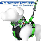 Pawtitas 6 FT Padded Dog Leash with Comfortable Neoprene Padding Handle - Green Lead | Small Reflective Dog Leash with Highly Reflective Band Perfect for Extra Small and Small Dogs and Puppies.