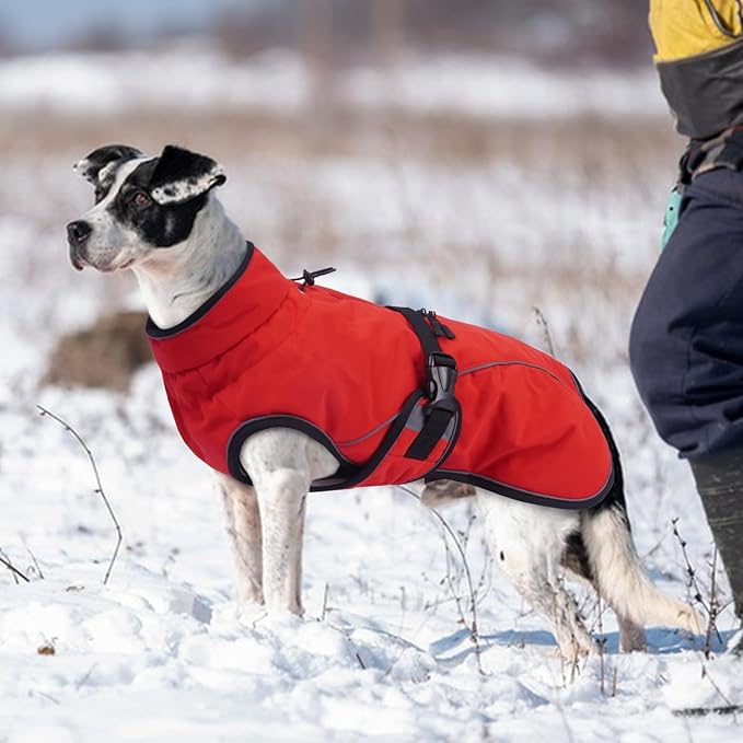Warm Dog Coat for Winter,Waterproof Jacket with Zipper,Detachable Dog Coat with Adjustable Buckle,Comfortable Jacket for Dogs in Cold and Windy Days.S Red