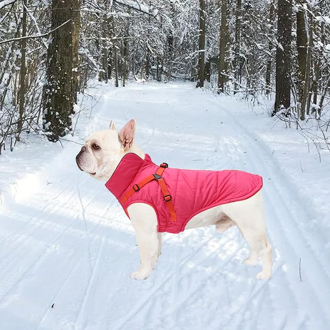Geyecete Winter Warm Coat Waterproof Dog Winter Jacket with Harness Traction Belt,Windproof Pet Outdoor Jacket Dog Autumn-Pink-M