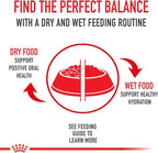 Royal Canin Canine Care Nutrition Small Weight Care Adult Dry Dog Food, 13 lb Bag