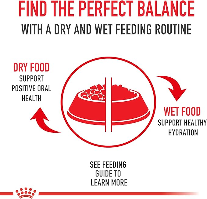 Royal Canin Canine Care Nutrition Medium Weight Care Adult Dry Dog Food, 30 lb Bag