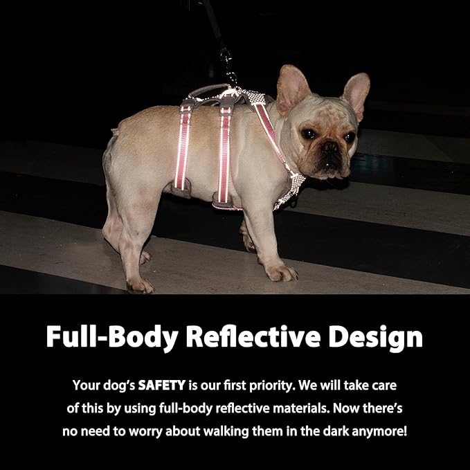 Huntboo Escape Proof Dog Harness, No Pull Reflective Harness with Lift Handle,Adjustable Pet Vest with Front and Back Leash Clips for Small Medium Large Dogs Walking Hiking Training (Sea Blue,L)