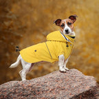 Dog Raincoat Waterproof Raincoats Dog rain Jacket Buttons Zipper Hood Drawstring Suitable for Small Medium Yorkie Terrier Schnauzer Poodle Border Collie Labrador 8lbs to 80lbs Yellow XL
