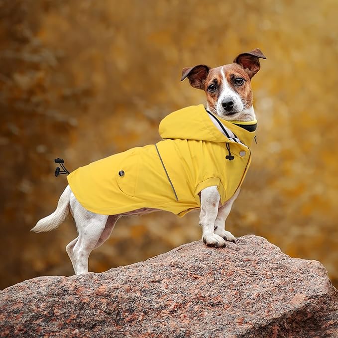 Dog Raincoat Waterproof Raincoats Dog rain Jacket Buttons Zipper Hood Drawstring Suitable for Small Medium Yorkie Terrier Schnauzer Poodle Border Collie Labrador 8lbs to 80lbs Yellow XXL