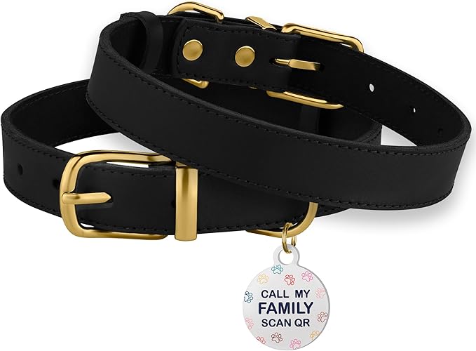 BRONZEDOG Leather Dog Collar with QR ID Tag Basic Pet Collars for Small Mini Dogs Cats Puppies (9-11 Inch (Pack of 1), Black & Gold Buckle)