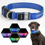 LED Dog Collar, Light Up Dog Collar, USB Rechargeable - Brightest Dog Lights for Night Walking, 6 Light Modes, Adjustable for Dog Safety(Medium, Royal Blue)