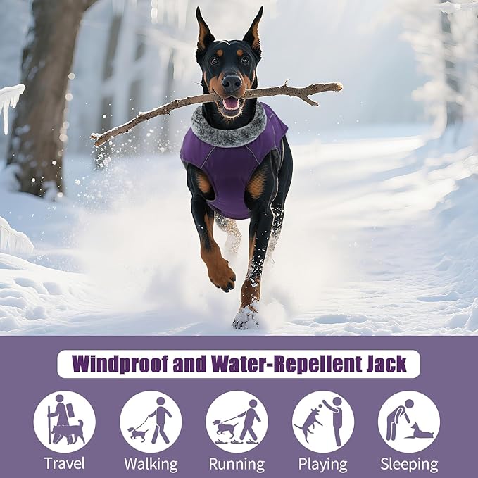 DENTRUN Dog Winter Coat - Windproof Reflective Jacket, Plush Turtleneck & Adjustable Belt, Water Repellent Fleece Lined Cold Weather Vest for Corgi Bulldog, Purple, L