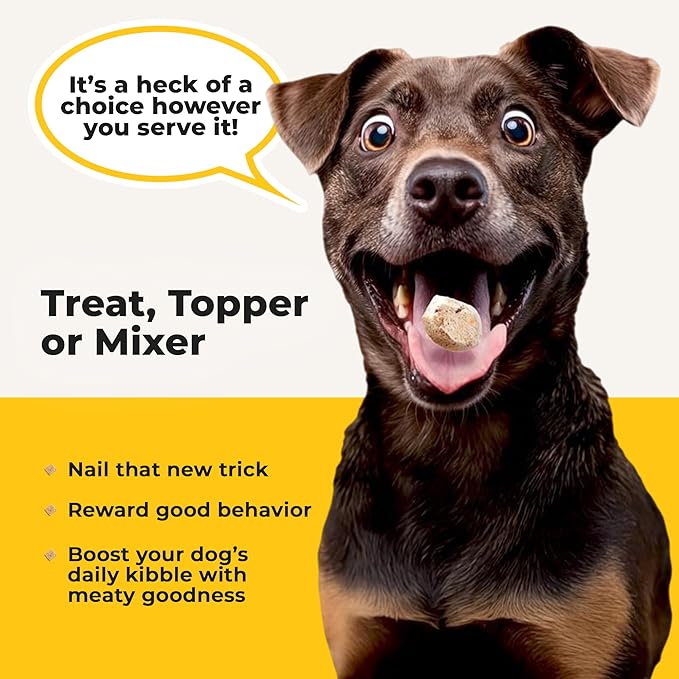 Chop Lickin’ Chicken - Freeze Dried Raw Dog Treats, Real Cuts of Chicken for Training, Meal Topper, High Protein, 15g Per Cup, Made in The USA, 14oz Bag