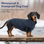 ASENKU Dog Winter Coat - Waterproof Windproof Dog Jacket, Warm Snowproof Doggie Puffer Vest for Cold Weather, Lightweight Snow Coats for Small Medium Large Dogs(M, Blue)