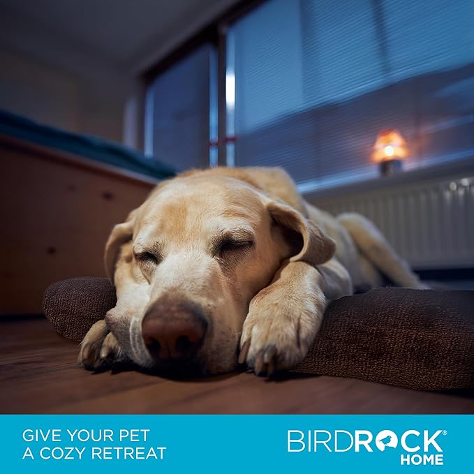 BIRDROCK HOME Large Brown
