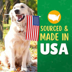 Chicken & Apple Chips Dog Treats – Made in USA, 100% Chicken Jerky, Grain-Free, High Protein, Single Ingredient, Crispy & Healthy Training Snacks for Dogs – 6 oz Jar