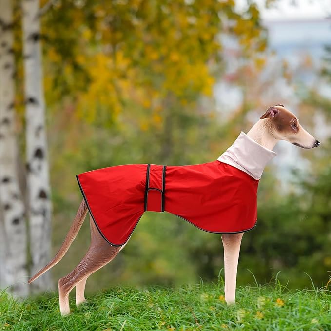Dog Raincoat with Reflective Bar, Rain/Water Resistant, Adjustable Vest - Dog Raincoats for Greyhounds, Lurchers and Whippets - Red - M