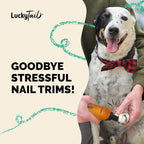LuckyTail Pet Nail Grinder for Dogs and Cats - Super Quiet and Low Vibration Electric Dog Nail Grinder with 2 LED Lights - USB Rechargeable and Cordless - 2 Speeds - Small to Large Pets - Orange