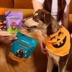 Bocce's Bakery Spiced Cider All-Natural Soft & Chewy Halloween Dog Treats - Wheat-Free Everyday Cookies for Dogs, Made with Real Ingredients & Baked in The USA – Apple & Cinnamon Flavored (6 oz Bag)