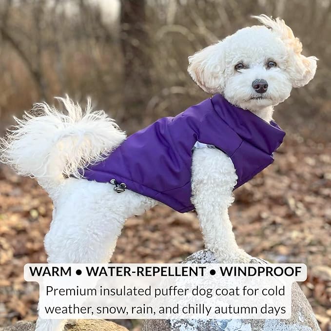 DJANGO Reversible Puffer Dog Coat – Warm Winter Dog Jacket & Water-Repellent Insulated Dog Coat w/Harness Hole, Windproof, Adjustable Fit for Small & Medium Dogs, Dachshunds – Violet Purple, X-Small