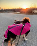 Gooby Zip Up Fleece Dog Sweater - Black, X-Large - Warm Pullover Fleece Step-in Dog Jacket with Dual D Ring Leash for Small to Medium Dogs