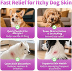 Dog Allergy Relief Chews, Itch Relief for Dogs – Turmeric & Omega-3 Supplements for Skin Comfort, Coat Health & Seasonal Support, Immune Care with Biotin & Quercetin – Chicken Flavor, 90 Count