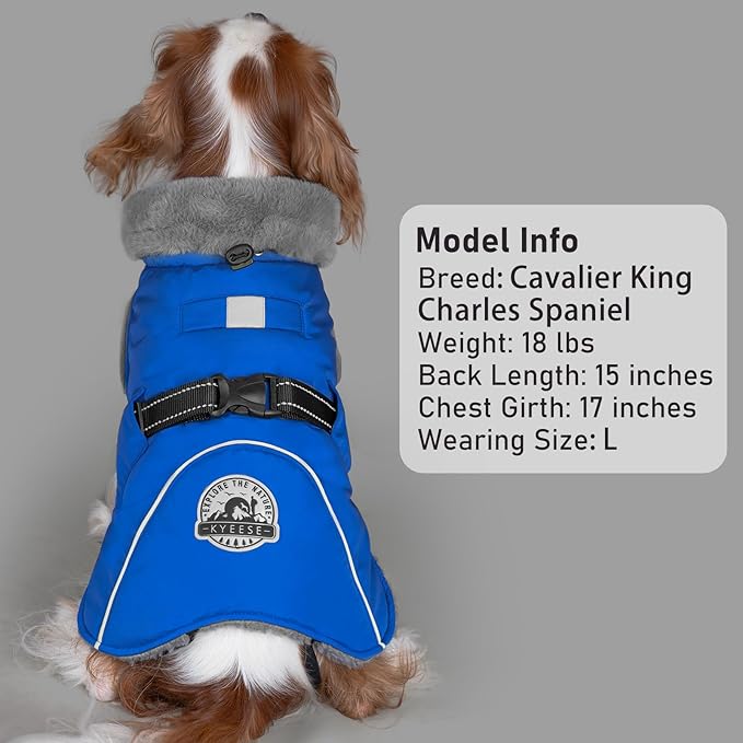 KYEESE Waterproof Dog Coat, Warm Windproof Jacket, Turtleneck Winter Dog Coats for Small Dogs with Leash Hole, Reflective Pet Clothes & Outdoor Apparel, Thick Fleece-Lined Winter Jacket, Blue, Large