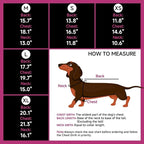 DORA BRIDAL Dachshund Coat, Fleece Lined Dog Winter Coat, Warm Dog Coats with Reflective Strips, Adjustable Waterproof Pet Jacket Clothes, S