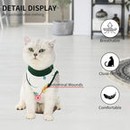 Cat Professional Surgical Recovery Suit,E-Collar Alternative for Cats Dogs,After Surgery Wear, Pajama Suit,Home Indoor Pets Clothing (S(3.3-5.5lbs), Avocado)