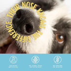 Dehydrated Lamb Lung Dog Treats - 2 Pound Big Bag, All-Natural, Made in USA - High Protein, Low Fat - Slow Roasted Oven Baked A Healthy Rawhide Alternative for All Dogs