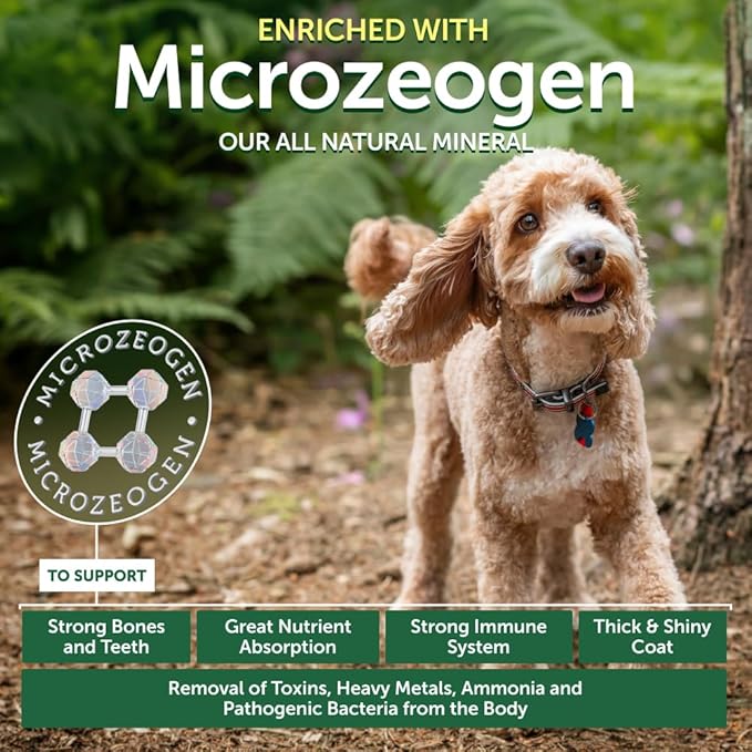 Nature's Protection Dry Dog Food for Small Breed - High Protein, Grain Free, Tear Stain Formula - Dog Kibble for Puppy & Adult Dogs with Red Fur (Superior Care - Lamb, 3.3 lb)