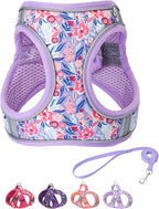 Step in Dog Harness and Leash Set, Flower Adjustable Easy Walk Puppy Harnesses, Soft Mesh Pet Vest Harness Small Size Dog Adjustable No Pull Dog Harness for Small Dogs and Cats(Light Purple, XS)