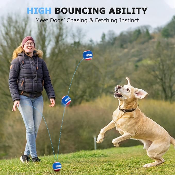 Nobleza Dog Tennis Balls 12 Pack, Durable Bouncy Floatable Squeaky Tennis Balls for Dogs for Fetch & Exercise, Training Interactive Natural Rubber Squeaky Dog Ball for Small Medium Dogs, 2.5in