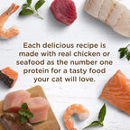 Nutrish Rachael Ray Natural Wet Cat Food, Tuna Purrfection Recipe, 2.8 Ounce Cup (Pack of 12), Grain Free