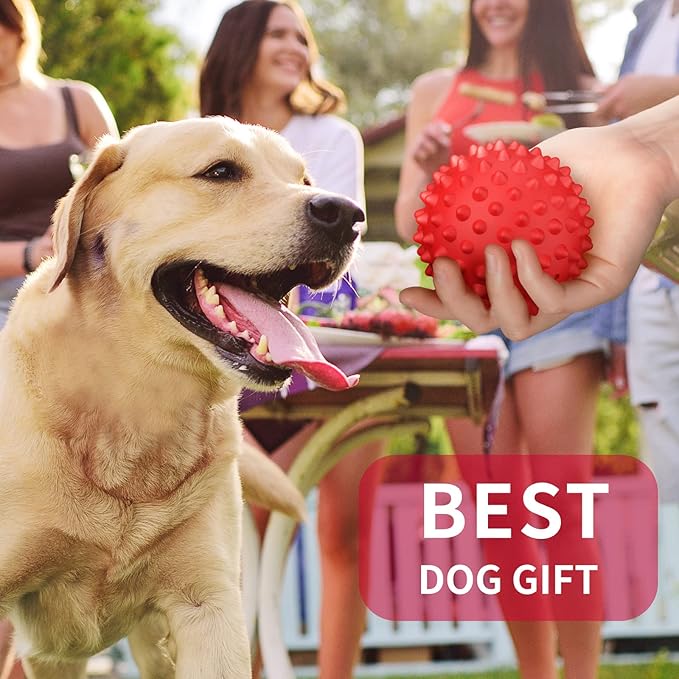 Apasiri Beef-Flavored Durable Dog Ball for Aggressive Chewers, Tough Squeaky Rubber Toy for Pitbulls Large & Medium Breeds