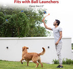 Gigwi Tennis Balls for Dogs, Squeaky Dog Tennis Balls for Exercise, High Bouncy Pet Ball Bright Colors 2.5 Inches, Interactive Funny Dog Toys for All Breeds of Dogs Indoor & Outdoor Dog Games, 3 Pack