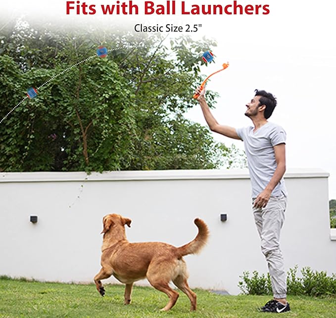 Gigwi Tennis Balls for Dogs, Squeaky Dog Tennis Balls for Exercise, High Bouncy Pet Ball Bright Colors 2.5 Inches, Interactive Funny Dog Toys for All Breeds of Dogs Indoor & Outdoor Dog Games, 3 Pack