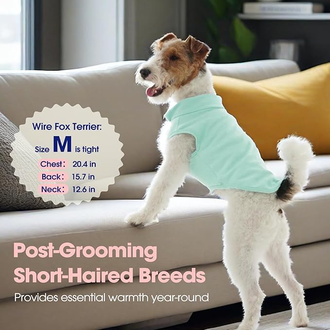 FUAMEY Dog Fleece Vest for Small Dogs,Warm Stretchy Dog Sweatshirts Pullover with Leash Hole Dogs Sweater Soft Pet Turtleneck Cozy Pet Vest Lightweight Sleeveless Blue XXS