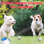 X-Small Dog Tennis Balls Dog Toys Ball 1.72" Pack of 6, Fit Ball Launchers