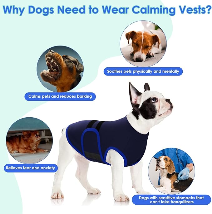 MIGOHI Dog Anxiety Relief Coat,Comfort Anxiety Vest for Dogs,Adjustable Anxiety Calming Wrap for Fireworks,Thunderstorms,Travel, Separation, Dog Anxiety Jacket for Small Dogs,S,NavyBlue