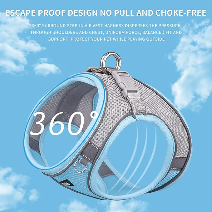 AIITLE Small Dog Harness with Leash, Breathable Mesh Vest, Reflective No-Pull Pet Harness for Outdoor Walking, Camping for Small Dogs, Cats, Blue XXS