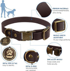 Wisedog Dog Collar and Leash Set, Waterproof Adjustable Puppy Collars with Cute Tag 6FT Dog Leash with Poop Bag for Small Medium Large Dogs (XS(Collar:8.5"-12";Leash:4 ft), Brown)