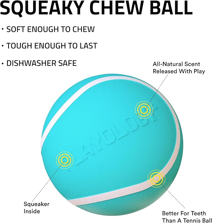 Playology Dog Toys | Squeaky Chew Ball - Bouncy Durable Floating Fetch Ball for Dogs, Value 2-Pack | Medium Peanut Butter Scented Toy - Easy to Clean and Made from Non Toxic Materials