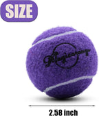 Magicorange Tennis Balls, 60 Pack Advanced Training Tennis Balls Practice Ball, Pet Dog Playing Balls,Good for Beginner Training Ball